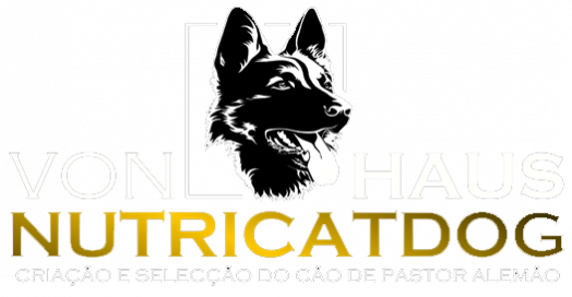 CRIAÇÃO